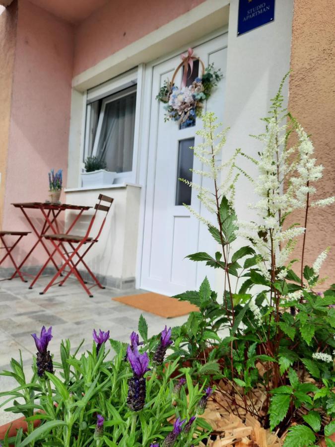 Apartmani Venium Krizevci Экстерьер фото