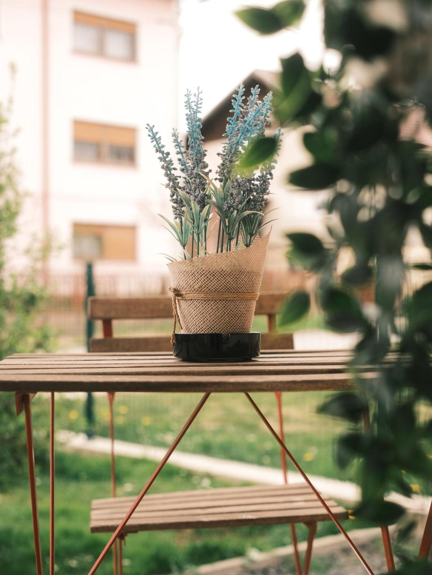 Apartmani Venium Krizevci Экстерьер фото